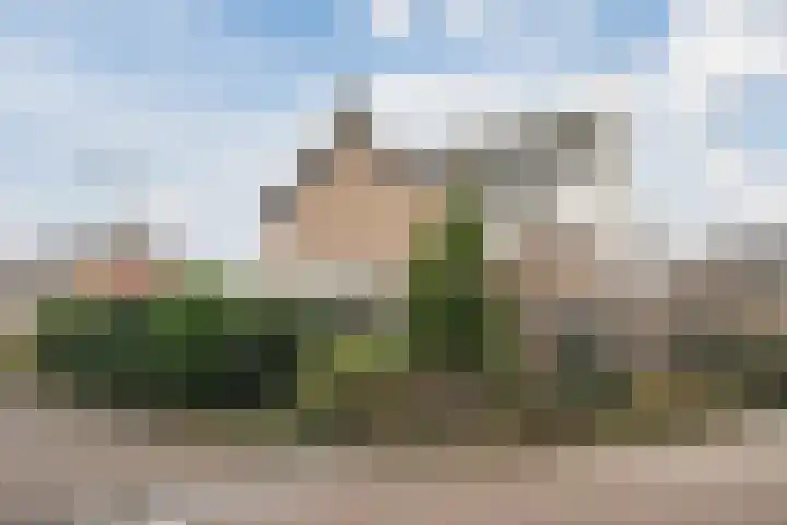 Acacialaan 1 Sint Pancras thumbnail 4