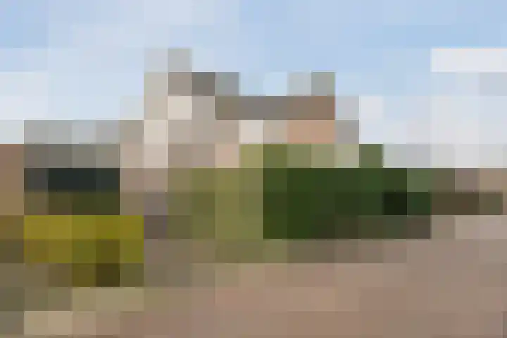 Acacialaan 1 Sint Pancras thumbnail 42