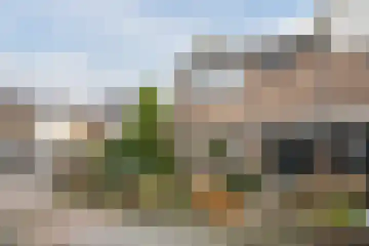 Acacialaan 1 Sint Pancras thumbnail 5