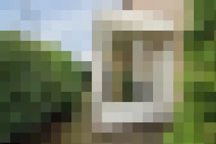 Acacialaan 1 Sint Pancras thumbnail 6