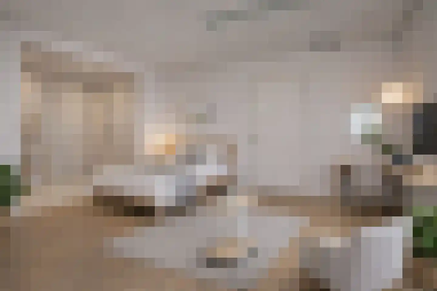 Acacialaan 1 Veenendaal thumbnail 39