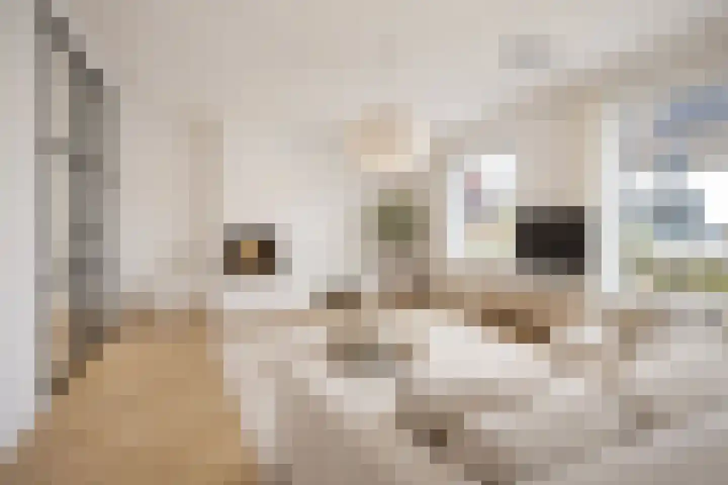 Acacialaan 1 Veenendaal thumbnail 4