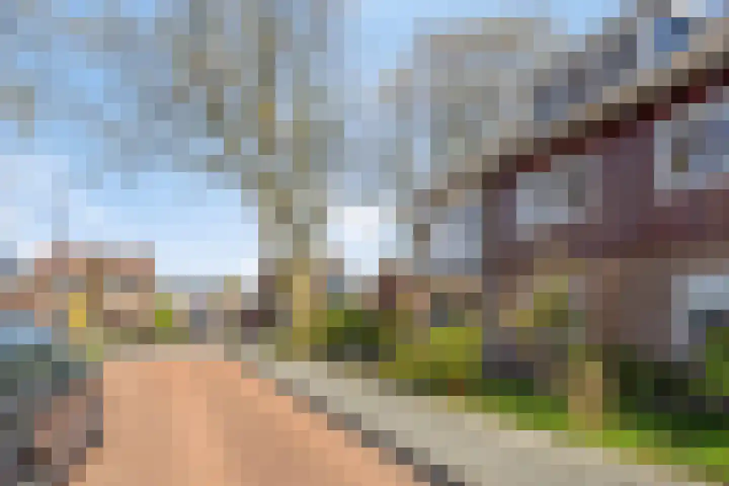 Acacialaan 1 Veenendaal thumbnail 50
