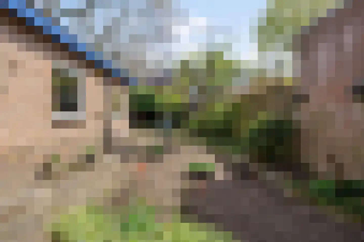 Acacialaan 1 Veenendaal thumbnail 9