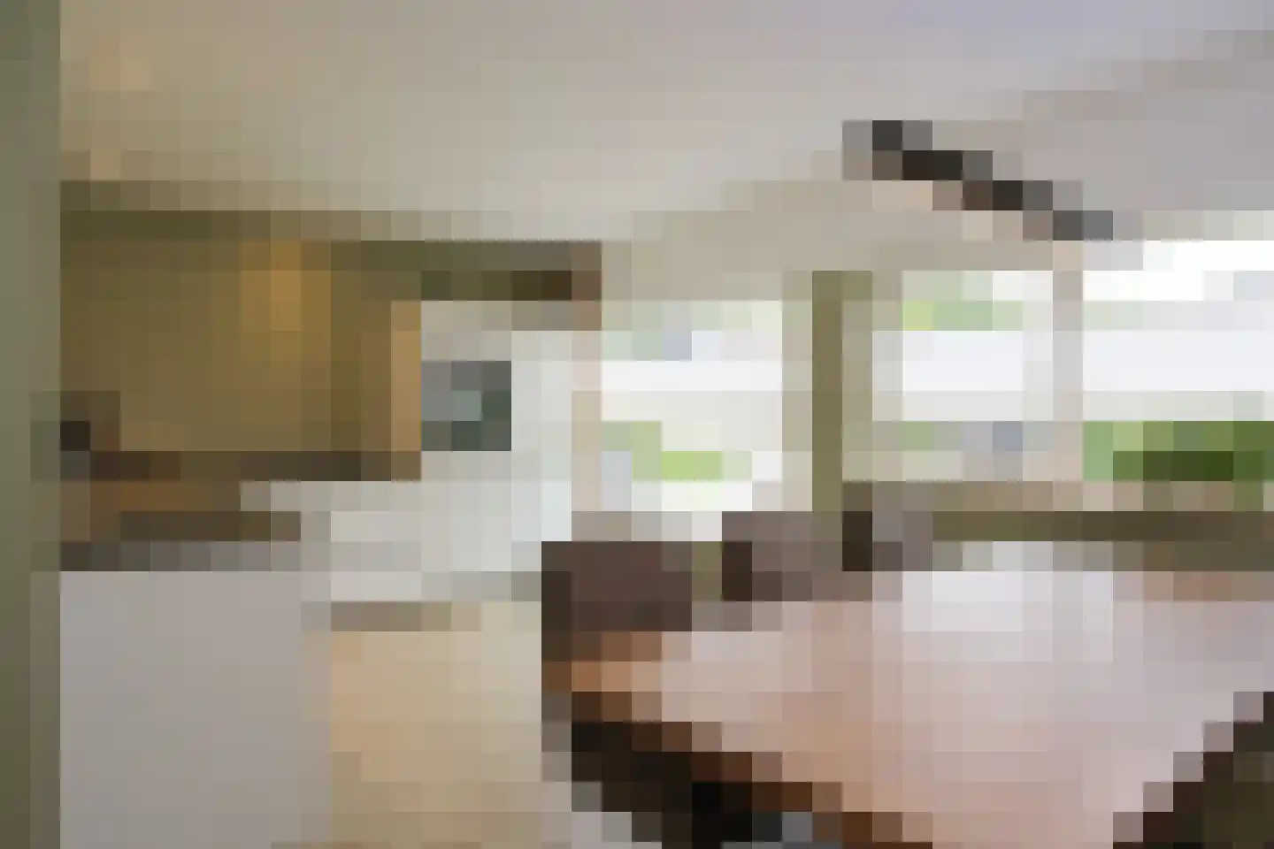 Acacialaan 10 Aadorp thumbnail 11