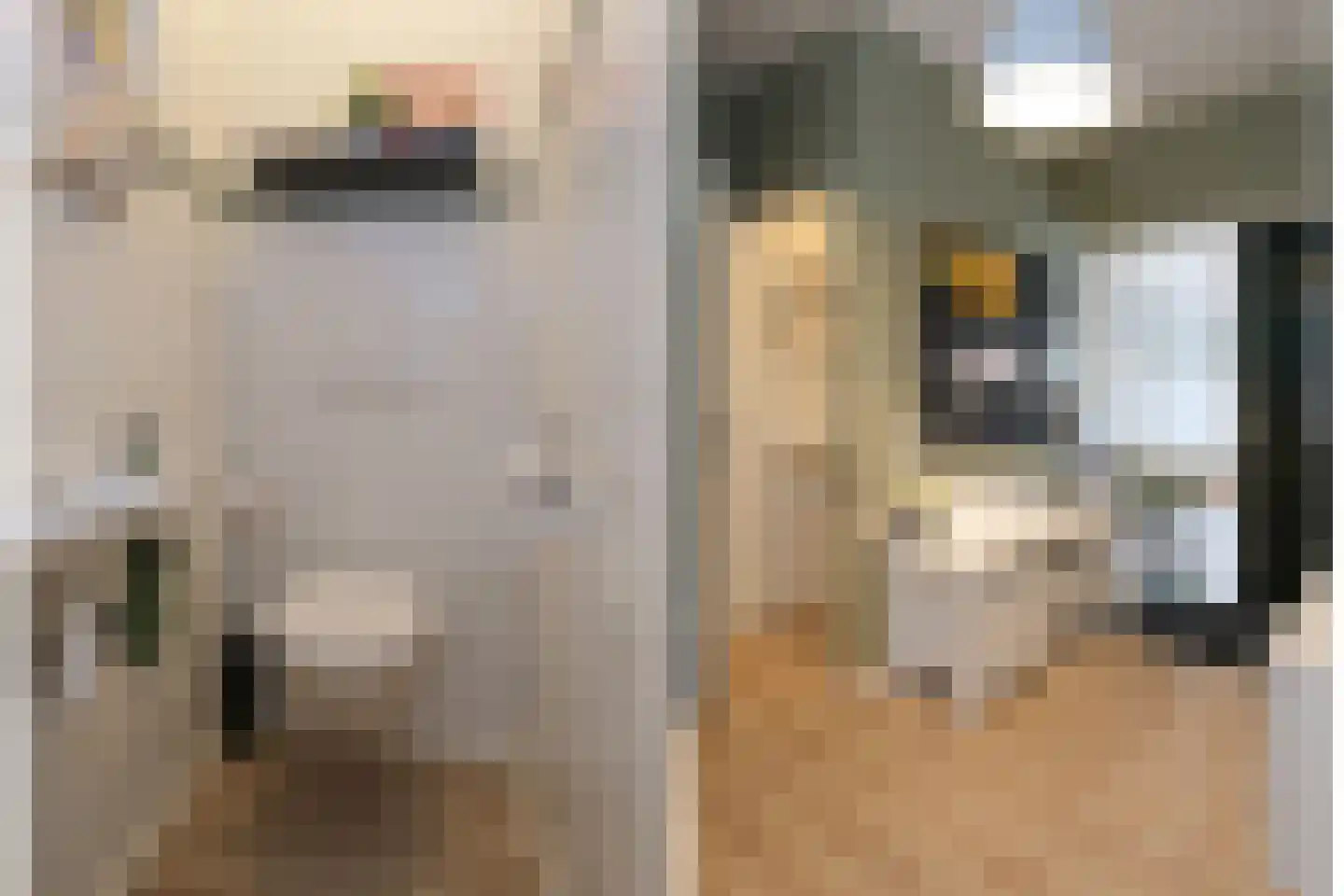 Acacialaan 10 Aadorp thumbnail 15