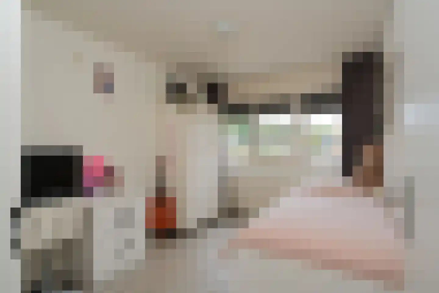 Acacialaan 10 Aadorp thumbnail 18