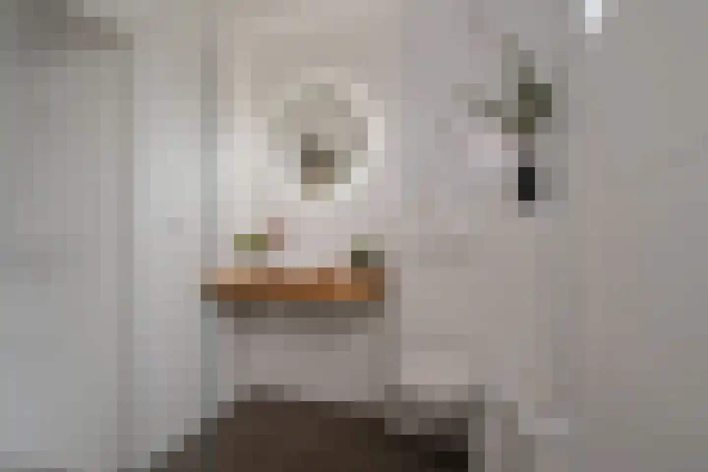 Acacialaan 10 Aadorp thumbnail 21