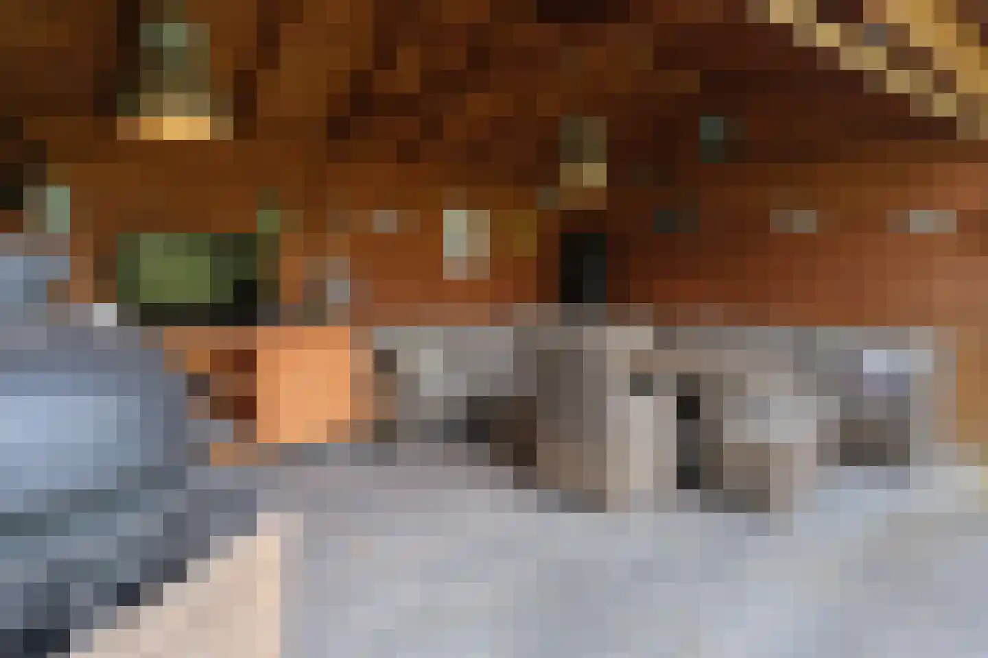 Acacialaan 10 Aadorp thumbnail 28