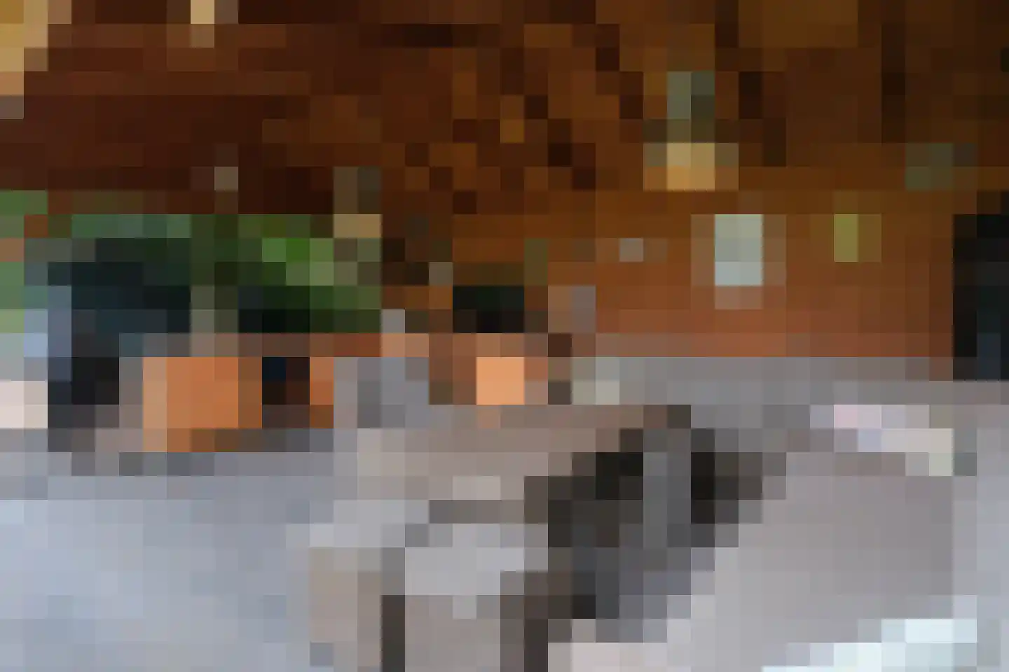 Acacialaan 10 Aadorp thumbnail 29