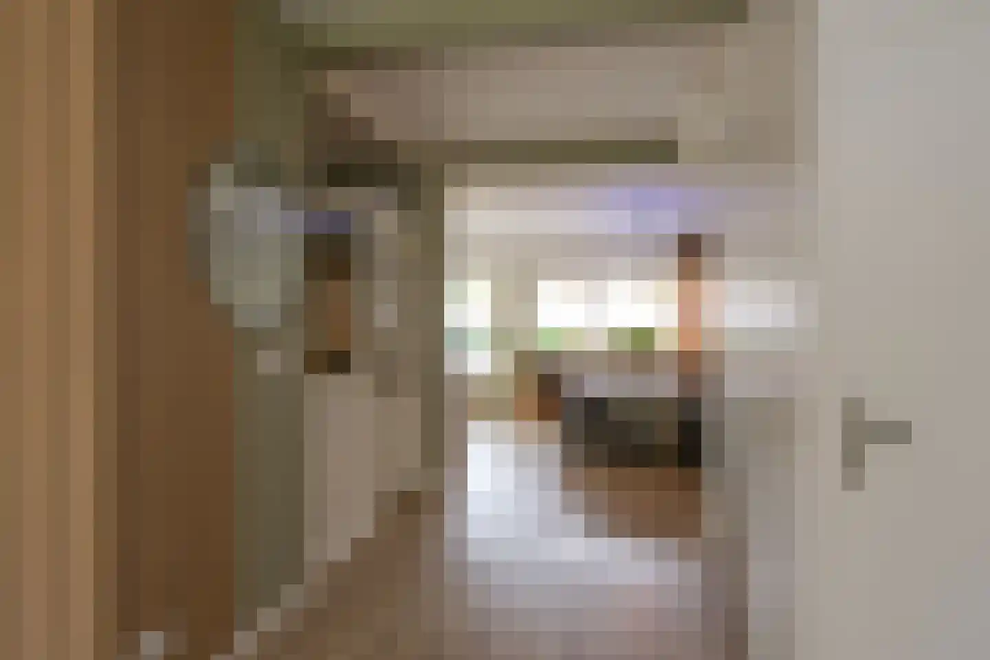 Acacialaan 10 Aadorp thumbnail 9