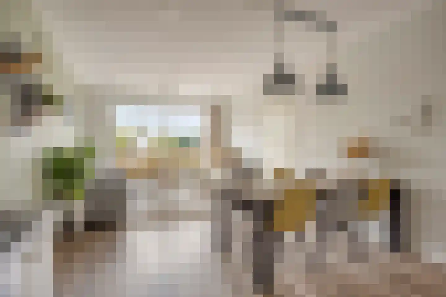 Acacialaan 10 Heerhugowaard thumbnail 19