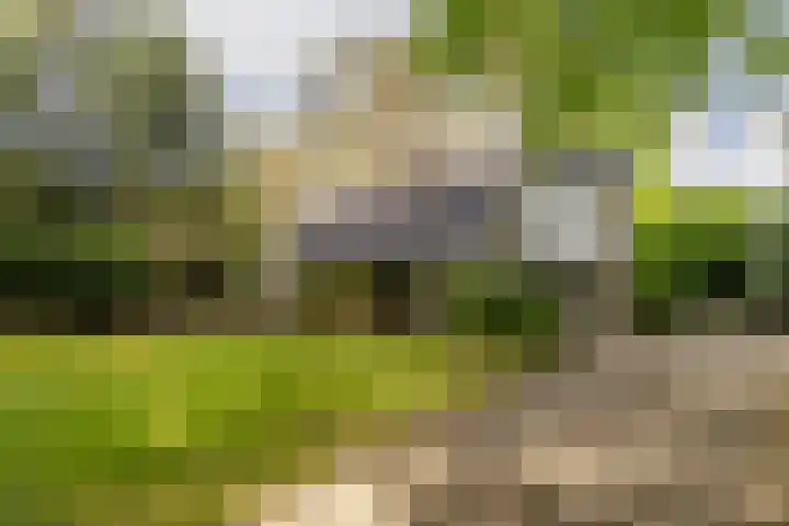 Acacialaan 10 Vught thumbnail 37