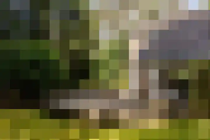 Acacialaan 10 Vught thumbnail 39