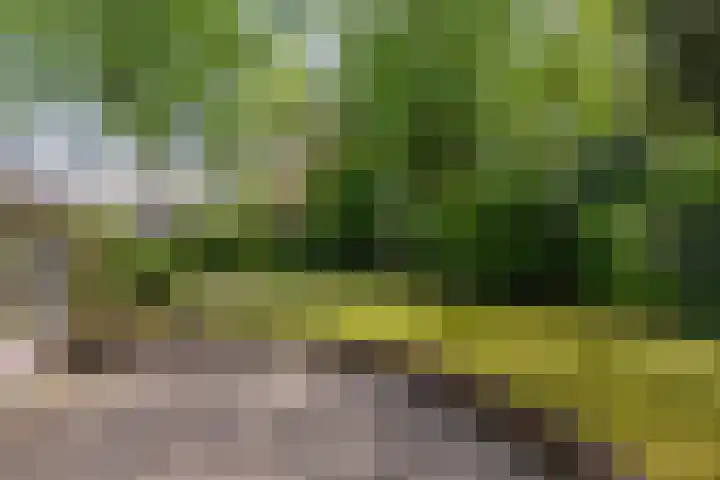 Acacialaan 10 Vught thumbnail 40