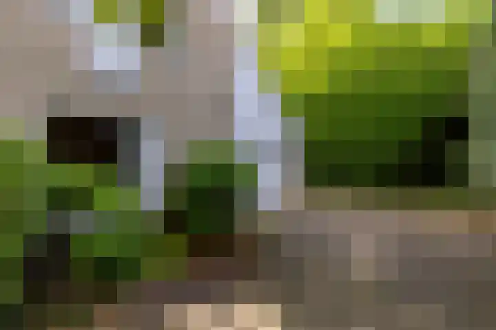 Acacialaan 10 Vught thumbnail 45