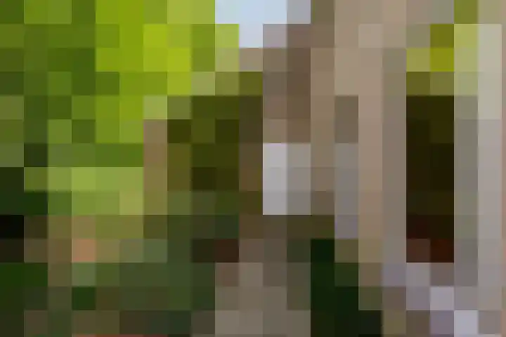 Acacialaan 10 Vught thumbnail 47