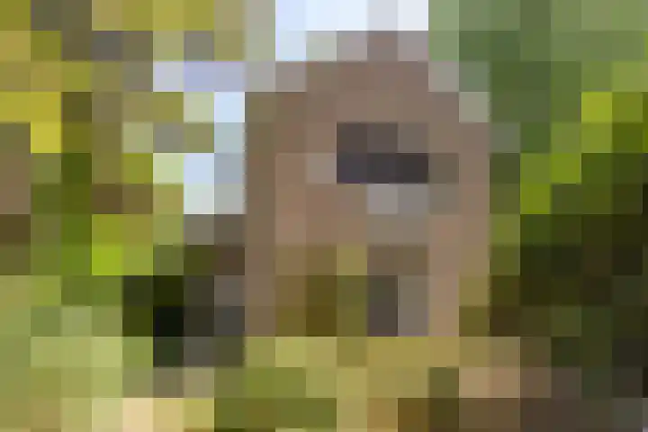 Acacialaan 10 Vught thumbnail 48
