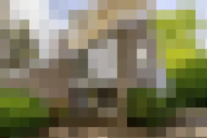 Acacialaan 10 Vught thumbnail 49