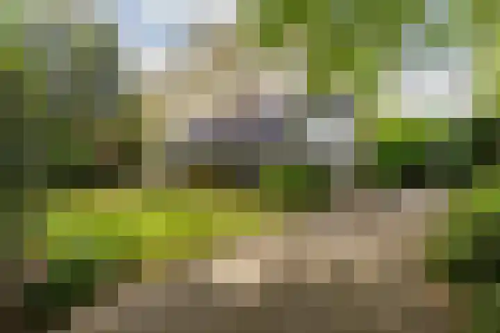 Acacialaan 10 Vught thumbnail 59