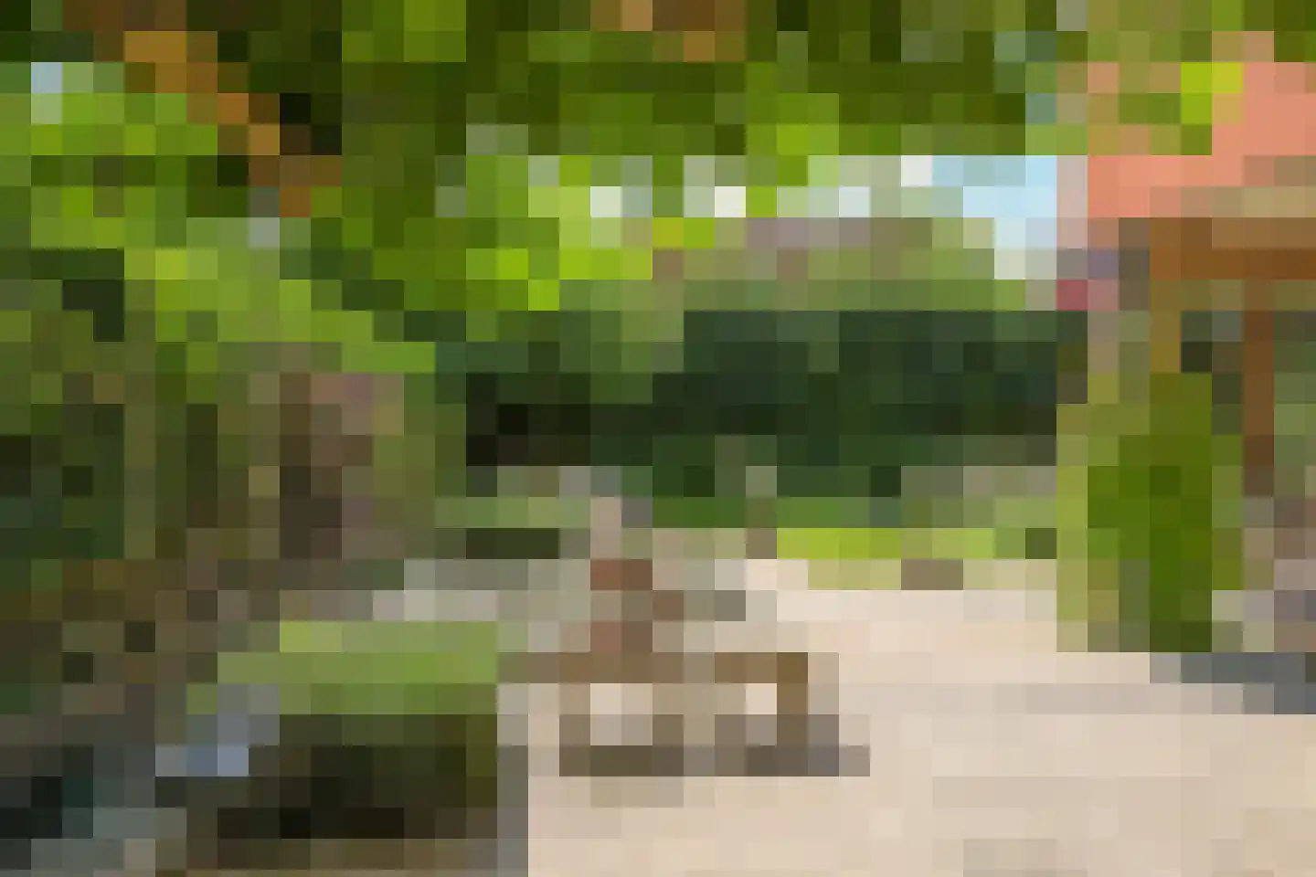 Acacialaan 111 Doetinchem thumbnail 10