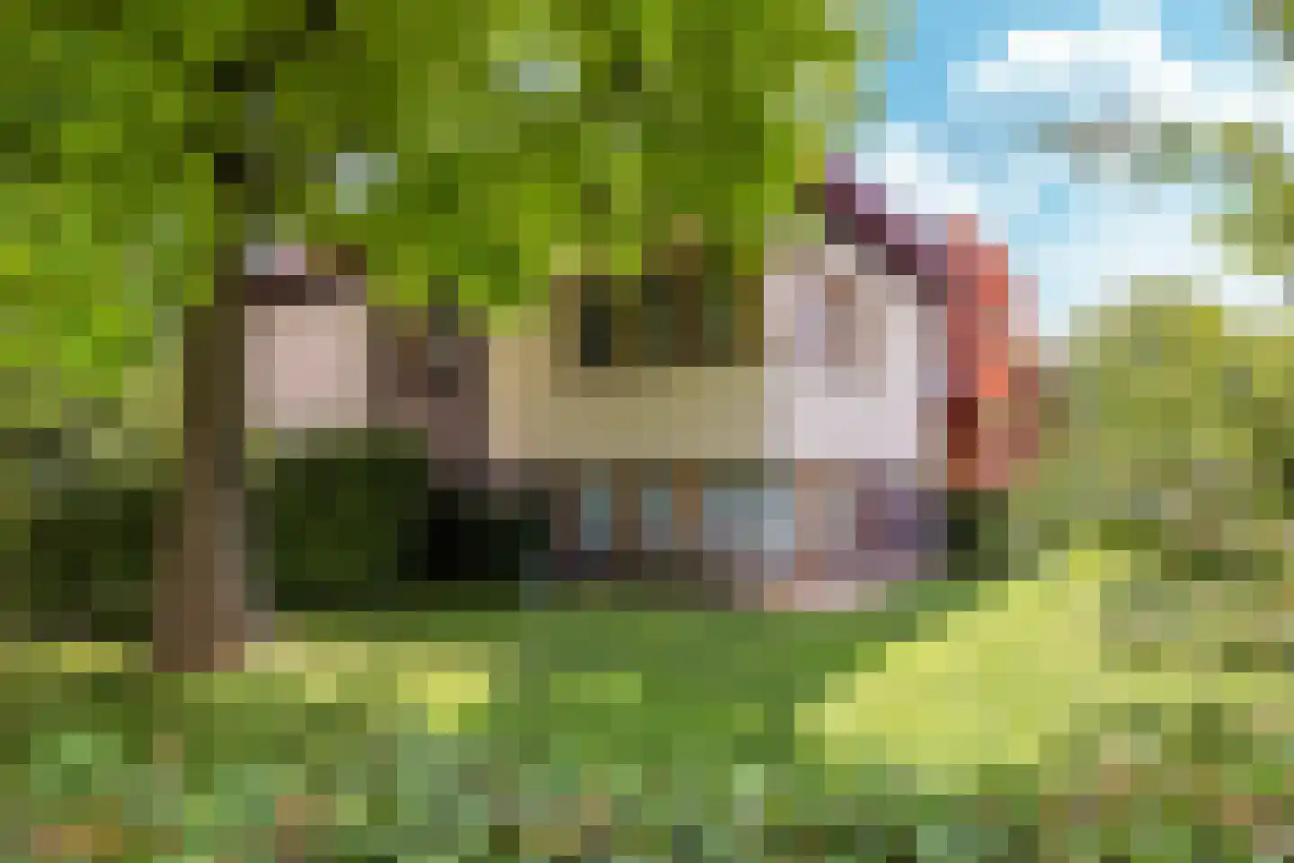 Acacialaan 111 Doetinchem thumbnail 4