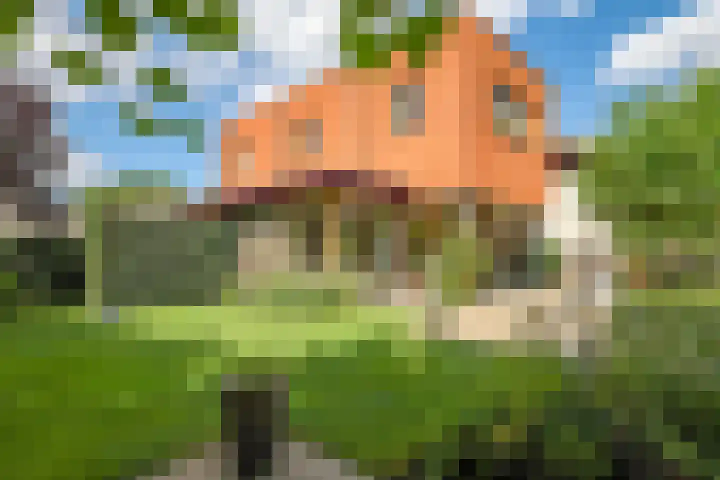 Acacialaan 111 Doetinchem thumbnail 6