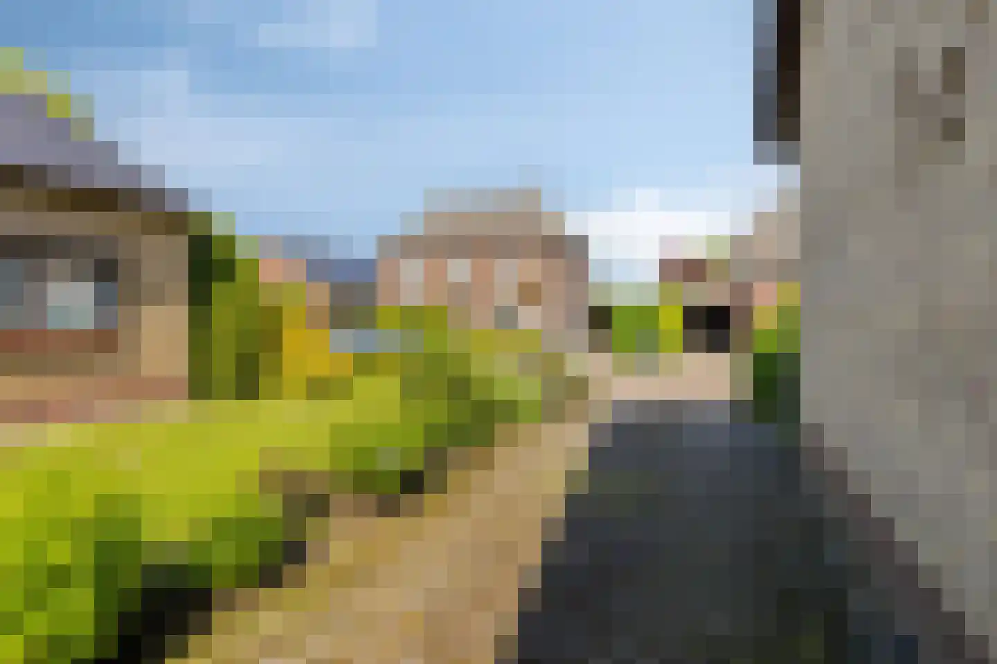 Acacialaan 12 Netterden thumbnail 8