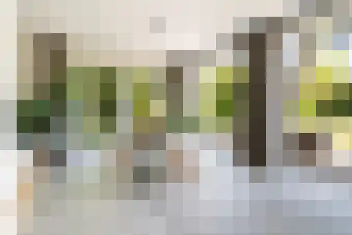 Acacialaan 12 Wassenaar thumbnail 10