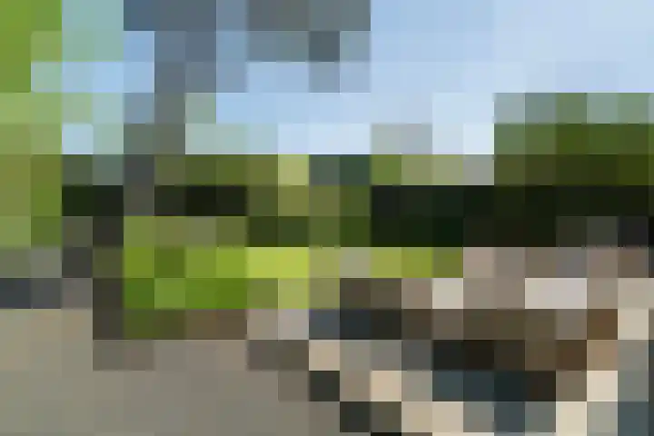 Acacialaan 12 Wassenaar thumbnail 11