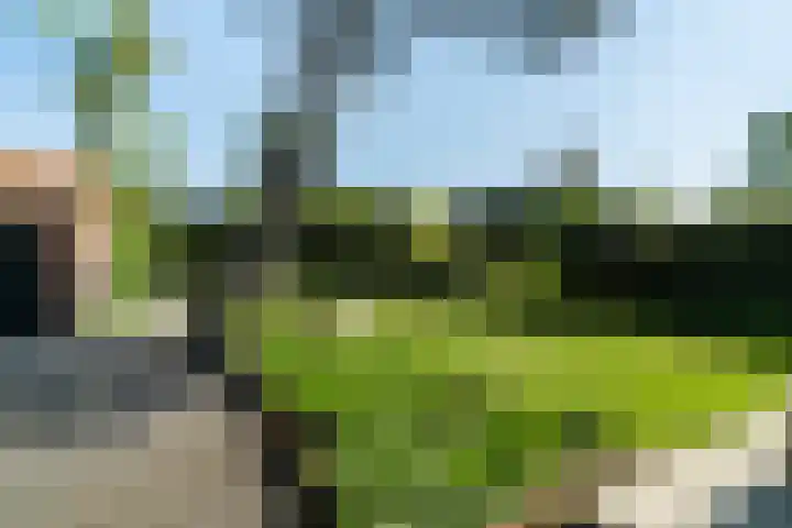 Acacialaan 12 Wassenaar thumbnail 12