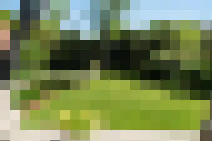Acacialaan 12 Wassenaar thumbnail 13
