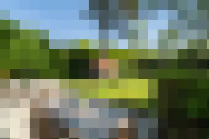 Acacialaan 12 Wassenaar thumbnail 14