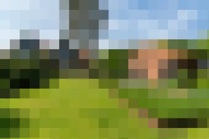 Acacialaan 12 Wassenaar thumbnail 15