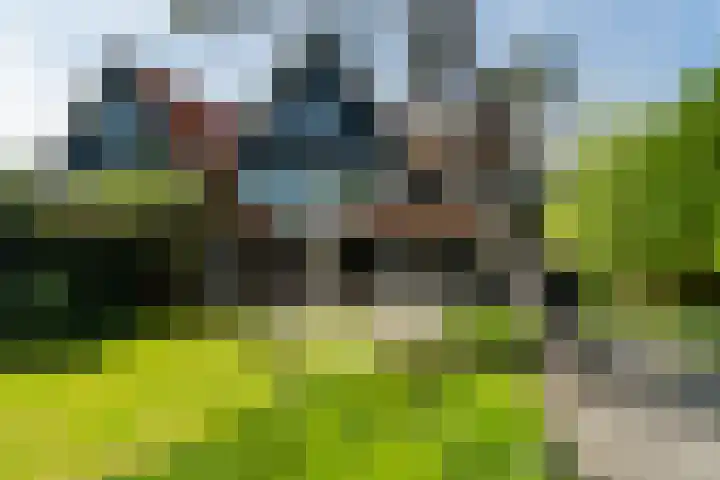Acacialaan 12 Wassenaar thumbnail 16