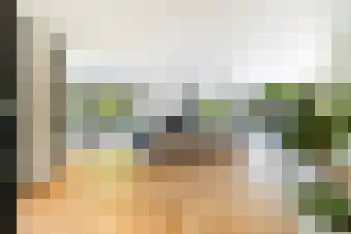 Acacialaan 12 Wassenaar thumbnail 5
