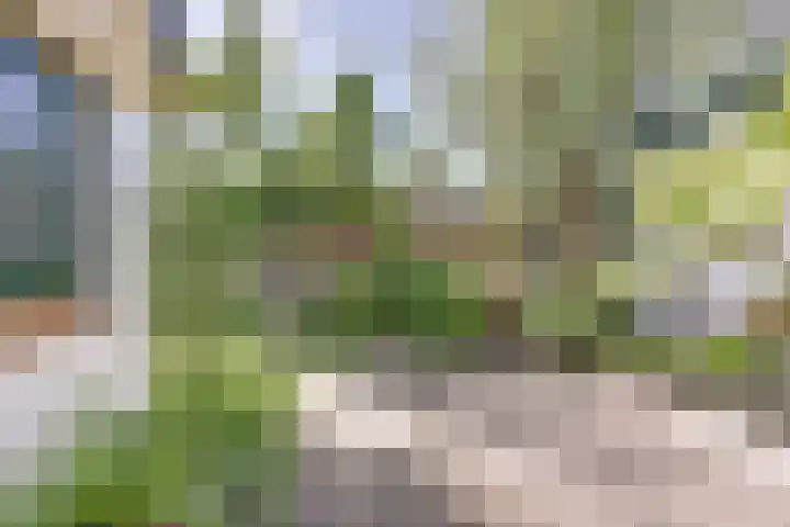 Acacialaan 13 Baarn thumbnail 31