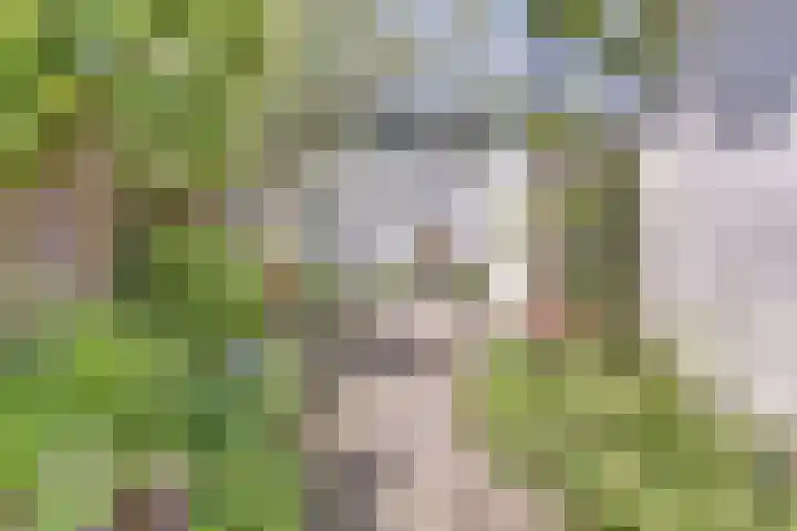 Acacialaan 13 Baarn thumbnail 32