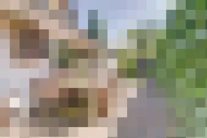 Acacialaan 13 Baarn thumbnail 33