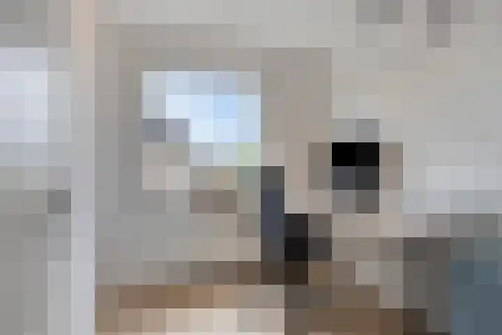 Acacialaan 13 Bunde thumbnail 14