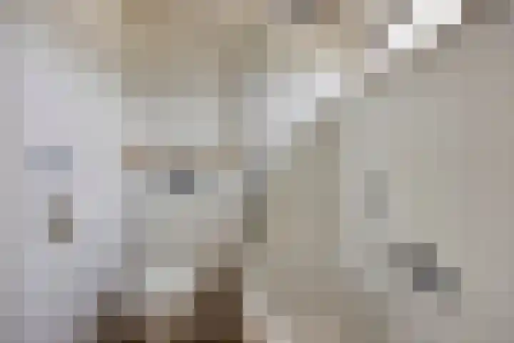 Acacialaan 13 Bunde thumbnail 17