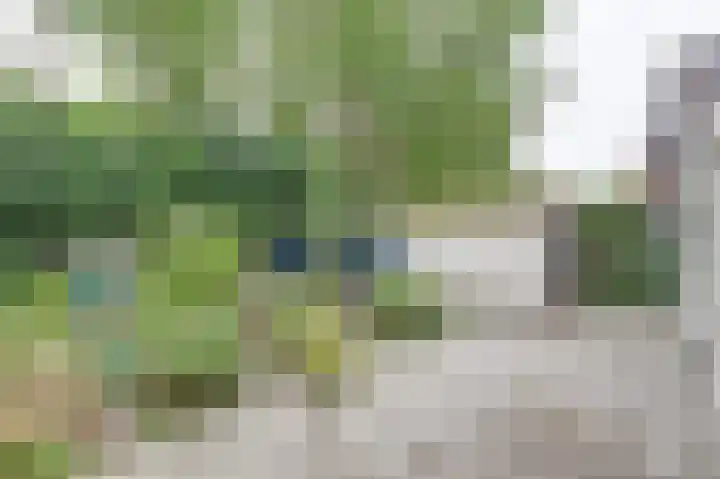 Acacialaan 13 Burgh-Haamstede thumbnail 31
