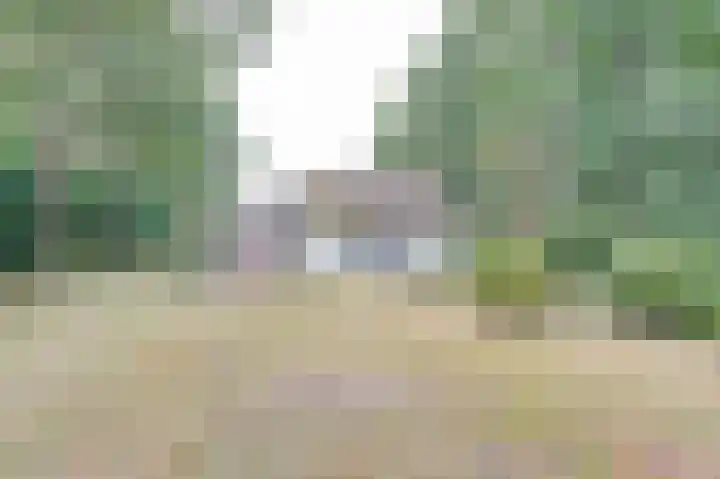 Acacialaan 13 Burgh-Haamstede thumbnail 32
