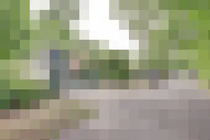 Acacialaan 13 Burgh-Haamstede thumbnail 4