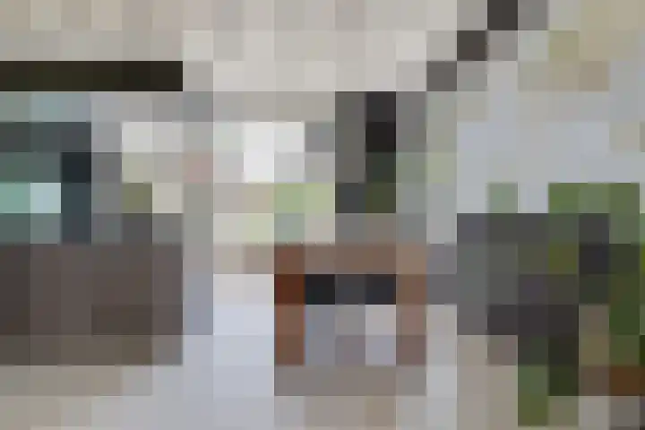 Acacialaan 13 Doetinchem thumbnail 15