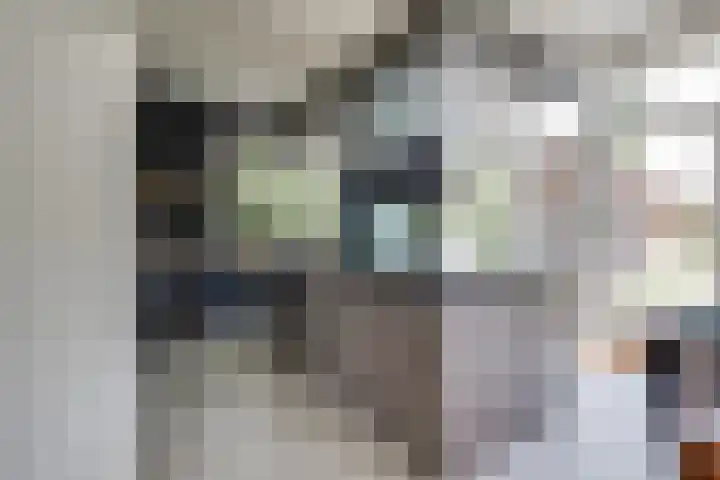 Acacialaan 13 Doetinchem thumbnail 17