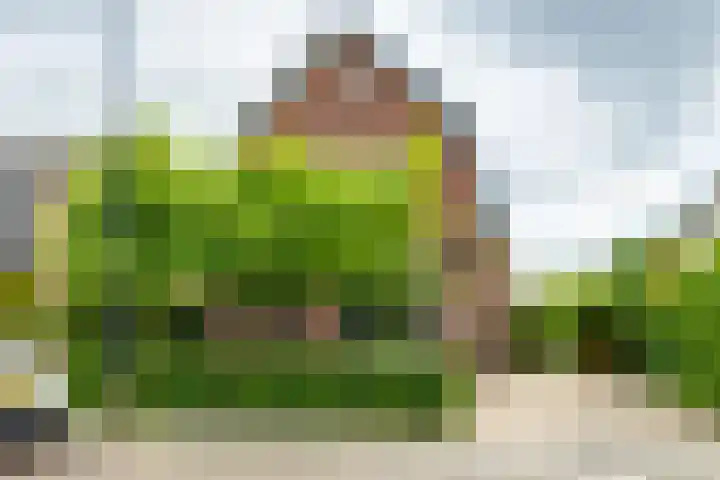 Acacialaan 13 Doetinchem thumbnail 4