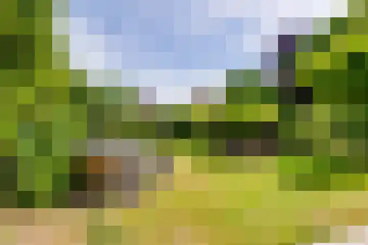 Acacialaan 13 Doetinchem thumbnail 49
