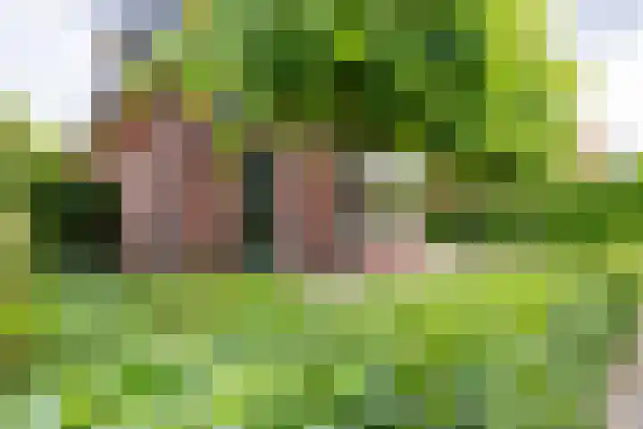 Acacialaan 13 Doetinchem thumbnail 5