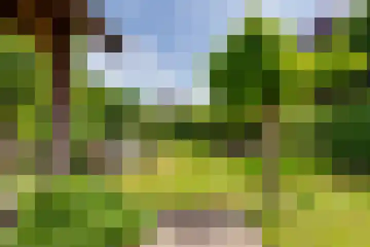 Acacialaan 13 Doetinchem thumbnail 50